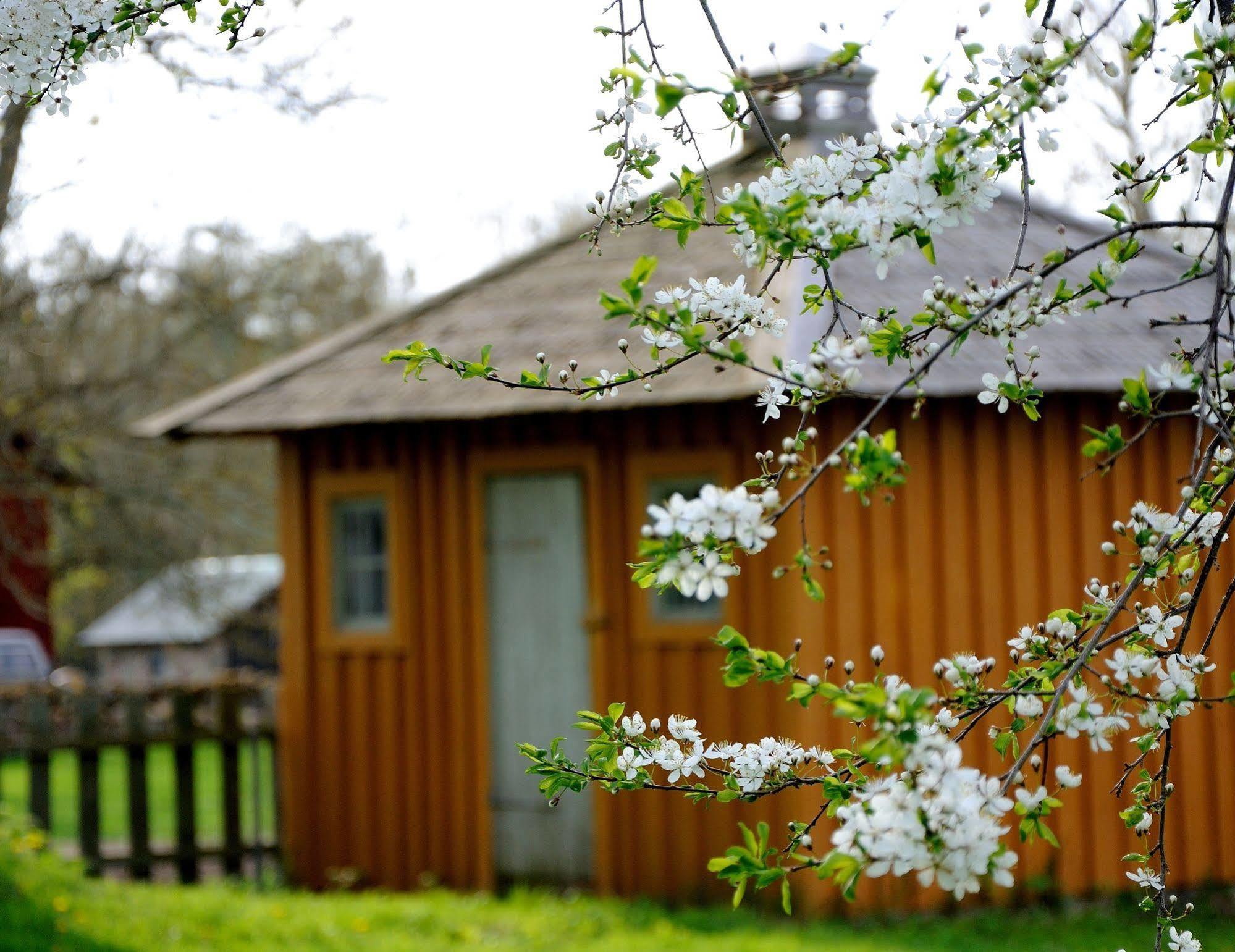 Naestegarden Bed & Breakfast Sätuna Exterior foto